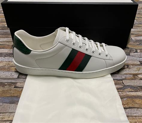 scarpe gucci ace uomo